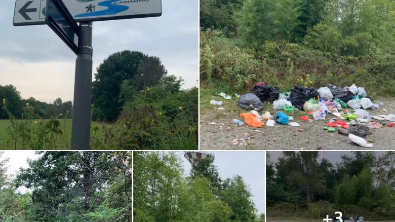 Peccato, sembrava un buon lavoro…
