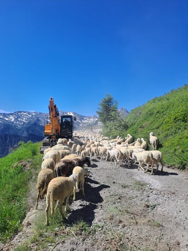 #stradeCittaMetroTO #Viabilita 👷‍♂️ Prosegue il lavoro di Città metropolitana…