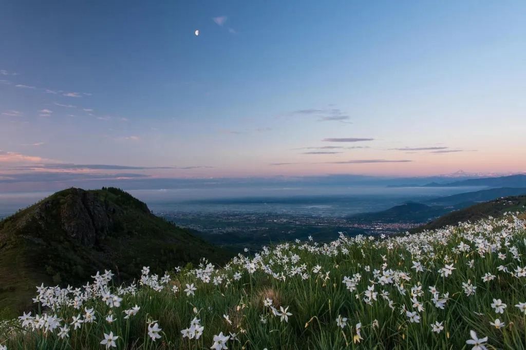 🌄C’è una catena montuosa, nel cuore del Canavese, il cui profilo disegna nel…