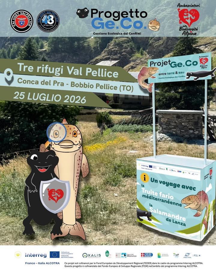 📅 sabato 25 luglio 2026 si svolgerà la corsa Tre rifugi Val Pellice. Città…
