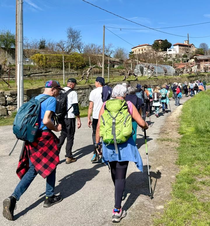 🚶‍♀️🚶‍♂️La Città metropolitana di Torino intende aderire all’Associazione…