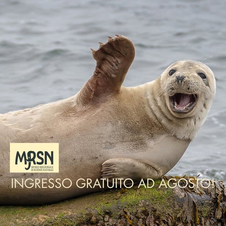 📣Agosto al Museo Regionale di Scienze Naturali di Torino: l'ingresso è…