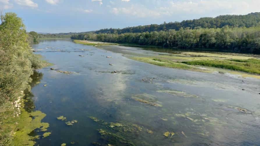 La Giunta regionale del Piemonte ha dichiarato lo stato di emergenza di rilievo…