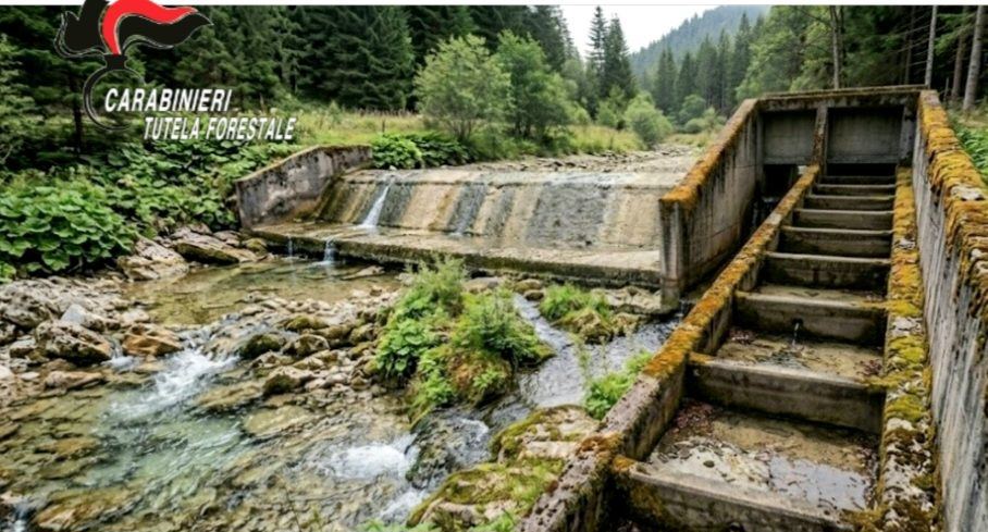 💧Il territorio torinese sta attraversando uno dei periodi di siccità più gravi…