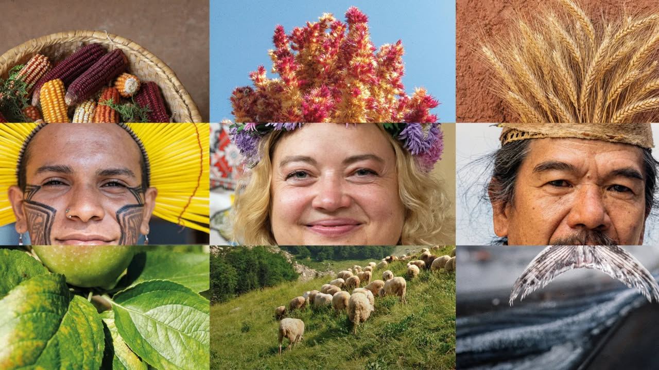 🌱 Dal 24 al 27 settembre 2026, torna a Torino Terra Madre Salone del Gusto