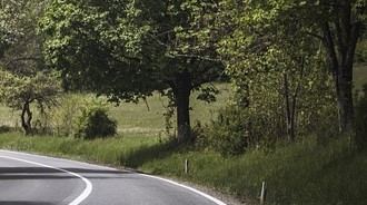 🌳Come ogni anno, in vista delle stagioni autunnale e invernale, a tutela della…