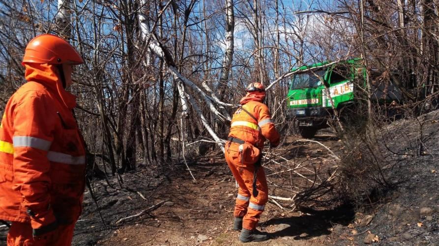 🔥 INCENDI BOSCHIVI: DALL'11 SETTEMBRE CESSA LO STATO DI MASSIMA PERICOLOSITÀ IN…