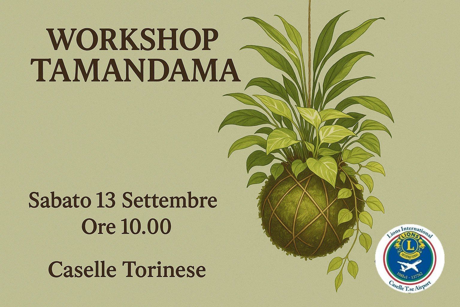 🌿 Porta a casa il tuo giardino sospeso: arriva il Workshop Tamandama del Lions Club Caselle Torinese Airport