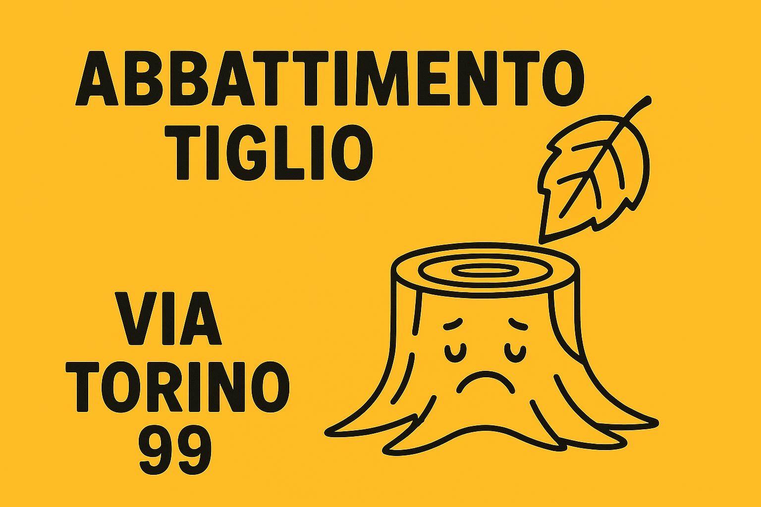 11 Novembre, Bilanci, benne e benne intenzioni